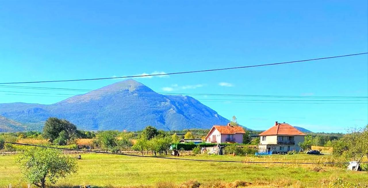 Villa Saturea Boljevac Екстериор снимка